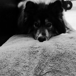 Meet your Posher, Cema and Drew!